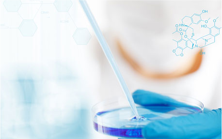 醫(yī)藥中間體、原料藥、制劑